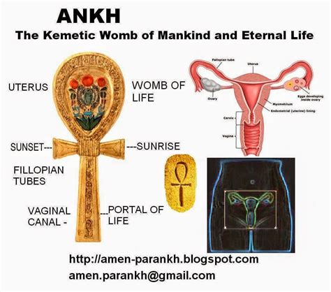MEANING OF THE ANKH! | Egyptian history, Kemetic spirituality, History
