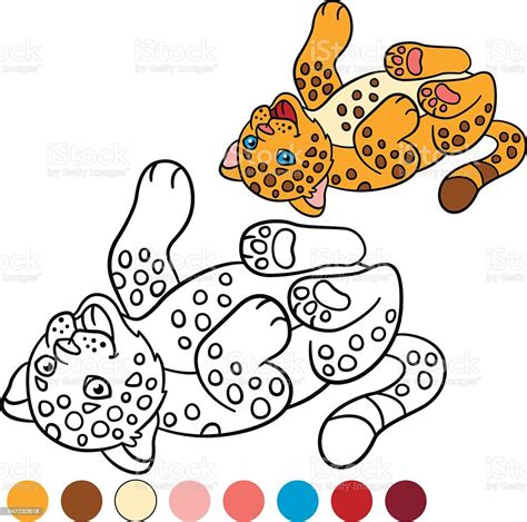 Coloring Page With Colors Little Cute Baby Jaguar Stock Illustration ...