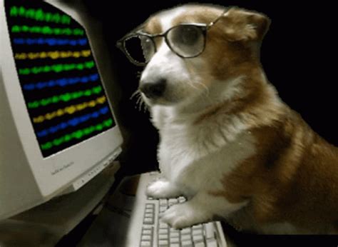 Dog Hacker GIF - Dog Hacker Pupper - Discover & Share GIFs