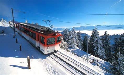 Mount Rigi in Winter: How to Soak in the Sun - Newly Swissed Online ...