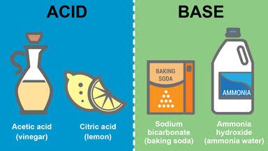 Difference Between Acids and Bases: Key Properties