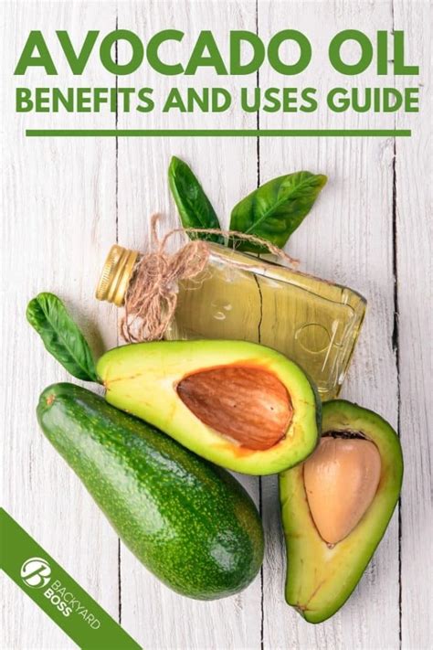 Avocado Oil Benefits and Usage: A Health Supplement Guide