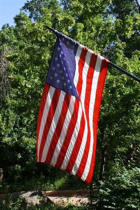 American Flag with Foliage in the Background – Photos Public Domain