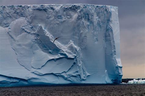 Here's what will happen to Antarctica's Larsen C iceberg - Business Insider