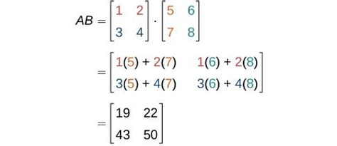 Finding the Product of Two Matrices | Precalculus I