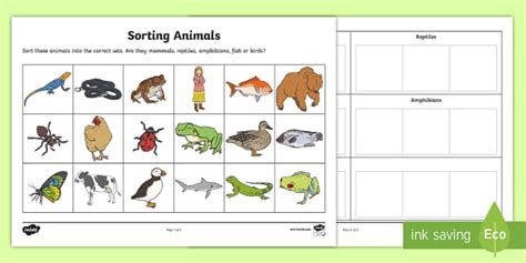 Sorting Animals into Sets Worksheet - worksheet, sorting