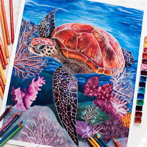 Sea turtle drawing done with watercolors & prismacolors | Sea turtle art, Turtle drawing, Sea ...