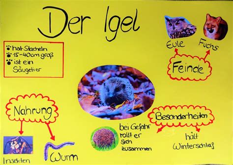 Plakat #Bildung plakat #Bildungs grundschule | Plakat gestalten, Plakat ...