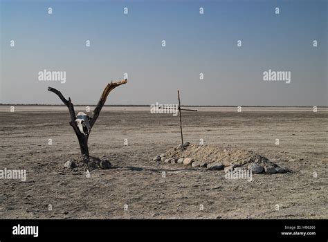 Desert landscape in Africa Stock Photo - Alamy