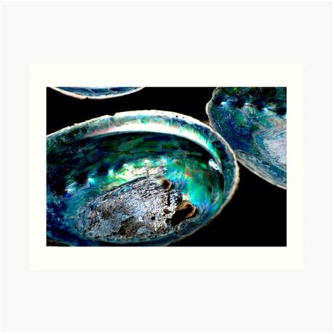 Paua Art Prints | Redbubble