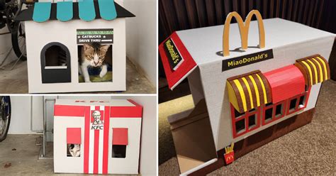 S'porean woman creates some 50 elaborate cardboard houses for community cats - Mothership.SG ...