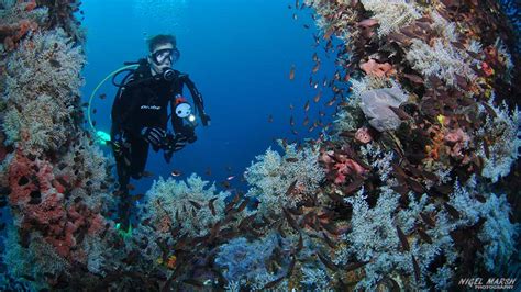 diving Malapascua - Fun Sun Dive Travel