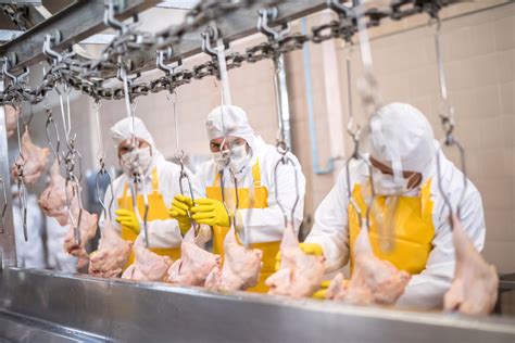 Tyson Begins $48 Million Poultry Production Expansion as Chicken Demand ...