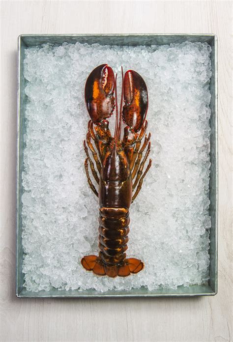 How to Boil Lobster - Maine Lobster