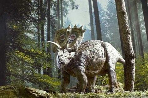 Anchiceratops, Late Cretaceous (72-71 Ma), Discovered by Brown - 1914 | Faune, Crétacé