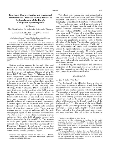 (PDF) Functional Characterization and Anatomical Identification of Motion Sensitive Neurons in ...