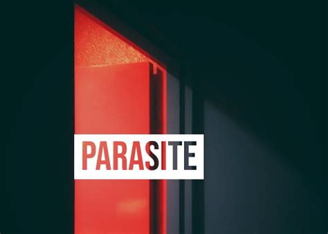 Parasite (2019) and the poverty trap - The Haughty Culturist