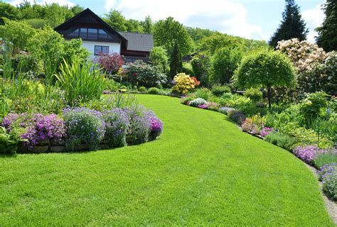 lawn care tips | Green Lawn Fertilizing