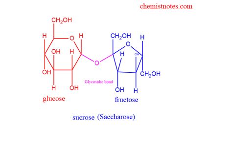 Disaccharides: Definition, classification, examples, and 4 reliable function - Chemistry Notes