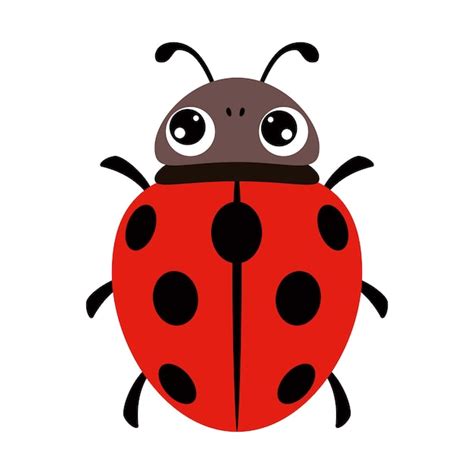 Premium Vector | Cartoon Illustration Of A Ladybug