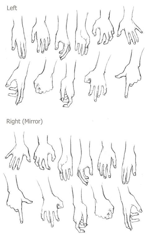 Left and right hands | Hand drawing reference, Drawings, Drawing tutorial