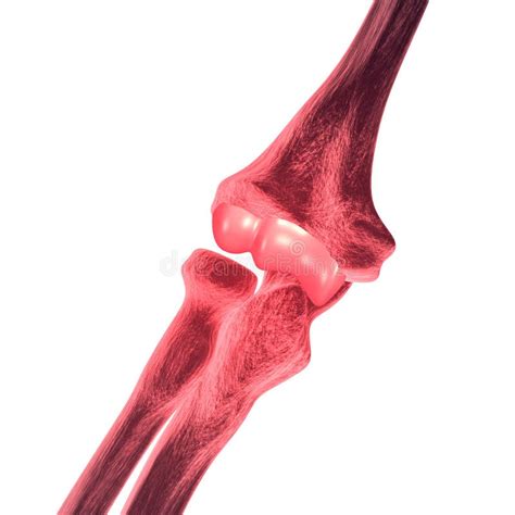 Elbow Bone Pain Royalty Free Stock Photos - Image: 3153618