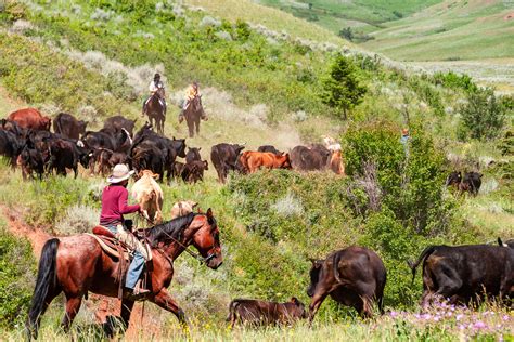 Join a genuine ranch and cattle drive holiday in America | Equus Journeys