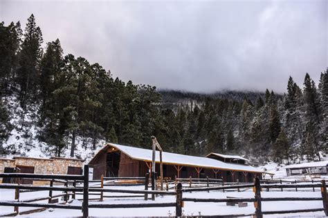 Bosques de Monterreal Nevados - Reto La mejor foto de México