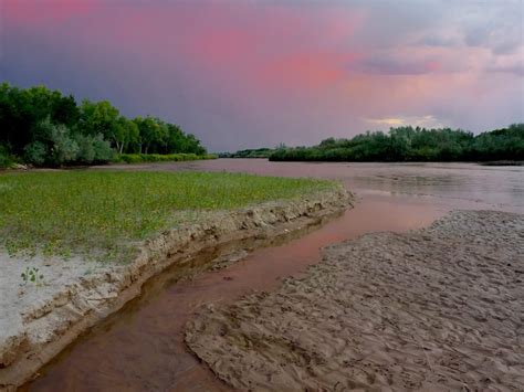 Along the Rio Grande, Farms are the Future for Wetland Birds - IWJV