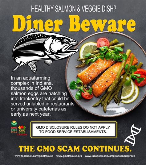 GMO Salmon Alert! AquaBounty says its genetically engineered salmon may first turn up in places ...