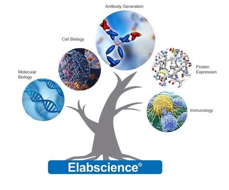 5 biotechnology Platforms you need to know in life science filed ...