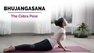 Bhujangasana Steps