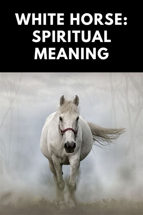 What is the spiritual meaning of a white horse? | White horse, Horses ...