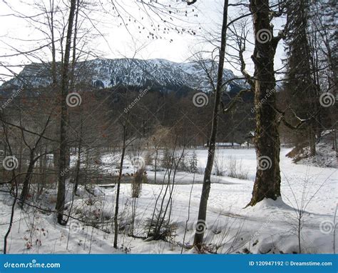 Bavaria in the snow stock photo. Image of germany, bavaria - 120947192