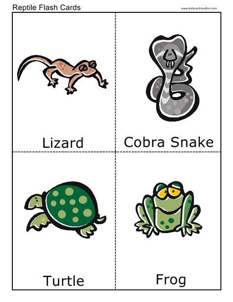 Reptile Flashcards Learning English For Kids, Toddler Learning, Flashcards For Toddlers ...