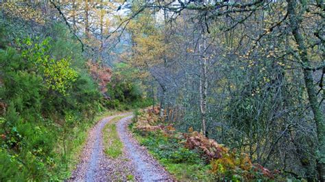 Camino de Invierno a Santiago, la alternativa al saturado Camino Francés