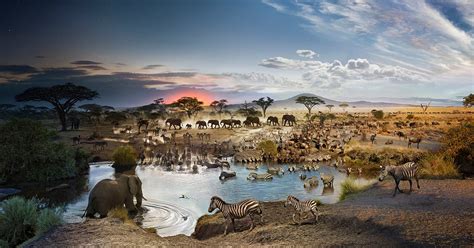 This Photo Was Shot Over the Course of 26 Hours at an African Watering Hole