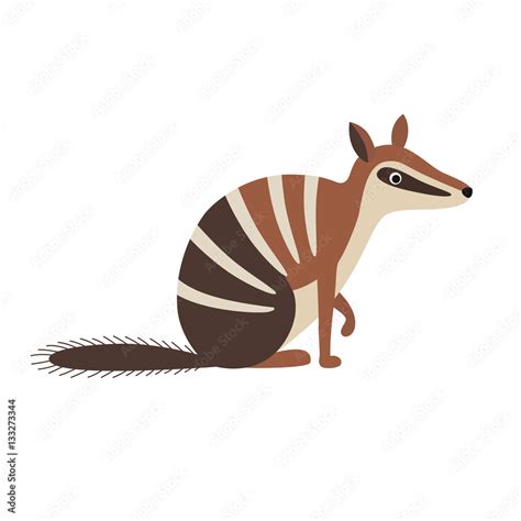 Numbat animal cartoon character Stock Vector | Adobe Stock