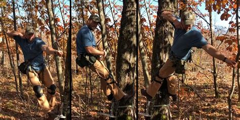 Saddle Hunting: Toss Out Your Treestand - AllOutdoor.com