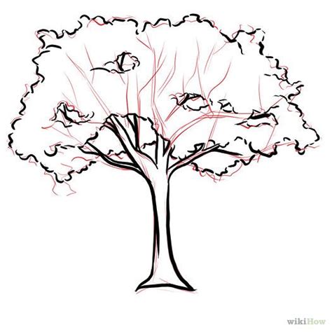 Tree Plan View Vector at GetDrawings | Free download