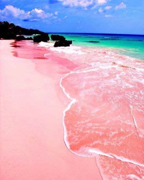 Pink sand beaches Bahamas really pink? - Business Insider | Places to ...