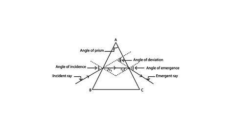 Explain the refraction of light through a triangular glass prism using a labeled ray diagram ...