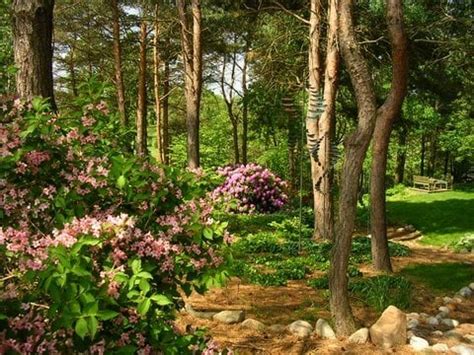 Michigan Wooded Garden | Garden Design