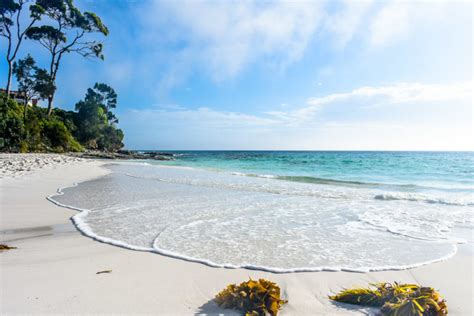 2 Days Camping in Booderee National Park, Jervis Bay - Backstreet Nomad