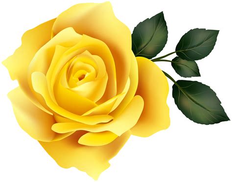 free yellow rose clipart 10 free Cliparts | Download images on ...