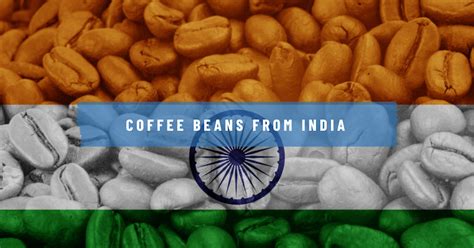 Exploring the Rich Flavors of Coffee Beans from India