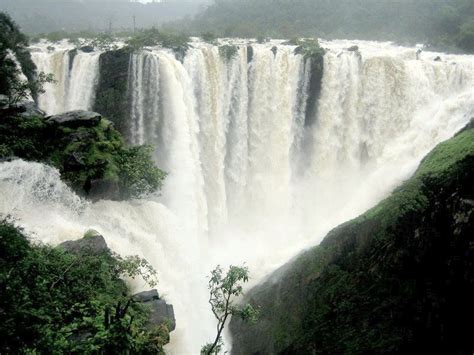 Mighty Jog Falls, near Shimoga, Karnataka - Tripoto