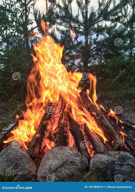 Bonfire flames stock image. Image of brightly, bonfire - 181489019