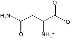 Getting to Know Your Amino Acids: Asparagine