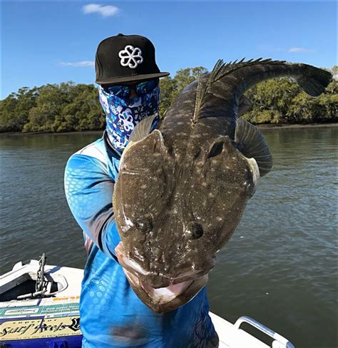 How to Catch Flathead on Soft Plastics - Gobblers Lures Blog...